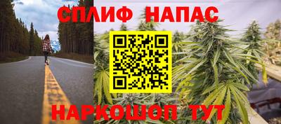 a pvp Бердск