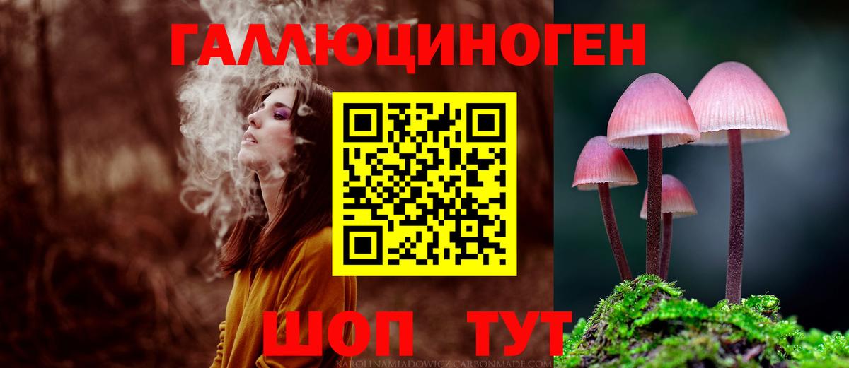 Красноярск  Псилоцибиновые грибы мухоморы  Вход с VPN 
